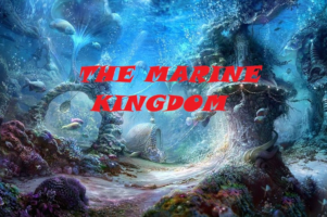 marine kingdom