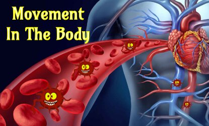 movement in the body