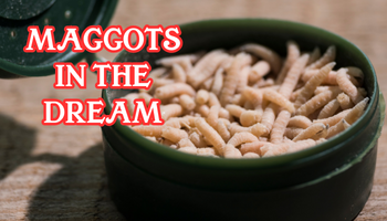 maggots in the dream